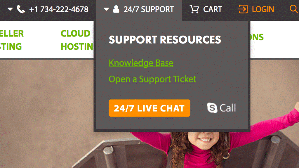 A2Hosting Support